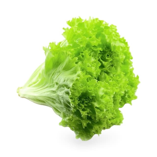 Салат зелёный 250г (Ташкент) — 650 〒 | Купить с доставкой