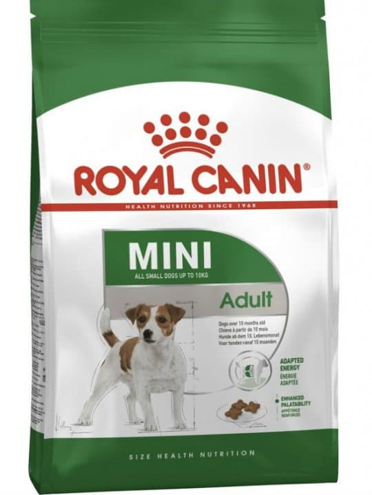 Полноценный корм для взрослых собак мелких пород Royal Canin 2 кг — 10 000 〒 Полноценный корм для взрослых собак мелких пород Royal Canin 2 кг — 10 000 〒 | Купить с доставкой