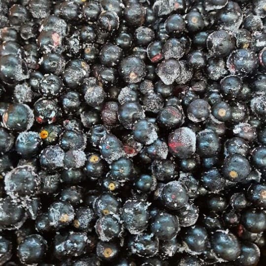 Смородина замороженная — 3 900 〒 Смородина замороженная — 3 900 〒 | Купить с доставкой