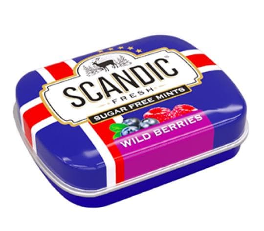 14Г SCANDIC ЯГОДЫ — 739 〒 14Г SCANDIC ЯГОДЫ — 739 〒 | Купить с доставкой