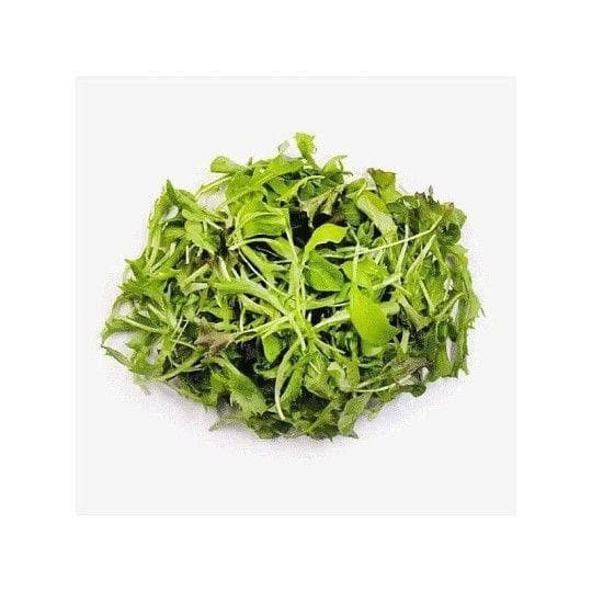 ЗЕЛЕНЬ GOGREEN NATURE PRODUCT САЛАТ ФРАНЦУЗСКИЙ 100ГР В/У — 979 〒 ЗЕЛЕНЬ GOGREEN NATURE PRODUCT САЛАТ ФРАНЦУЗСКИЙ 100ГР В/У — 979 〒 | Купить с доставкой